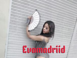 Evamadriid