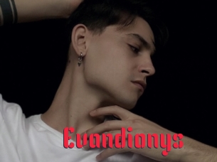 Evandionys