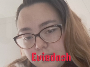 Eviedash