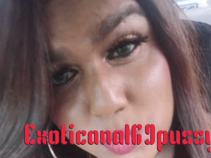 Exoticanal69pussy