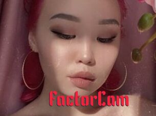 FactorCam