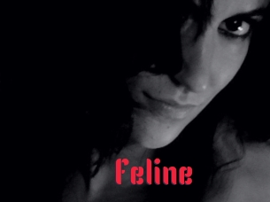 Feline Video Extrait