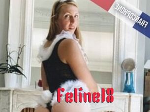 Feline18