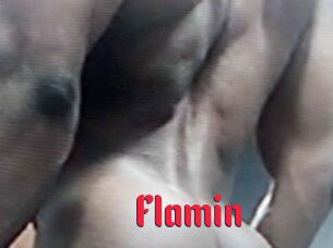 Flamin