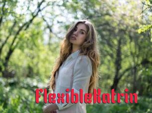FlexibleKatrin