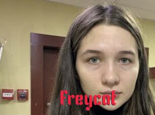 Freycat