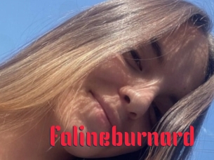 Falineburnard
