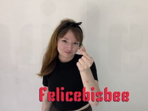 Felicebisbee