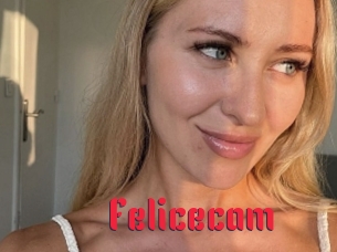 Felicecam