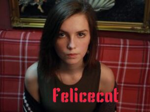 Felicecat