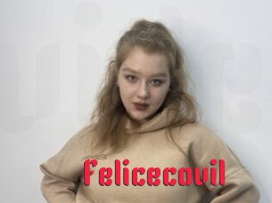 Felicecovil