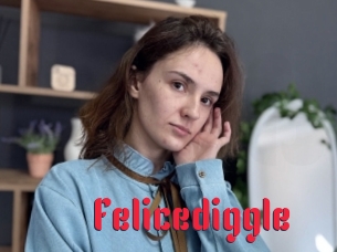 Felicediggle
