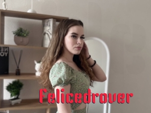 Felicedrover