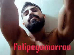 Felipegamarraa