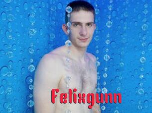 Felixgunn