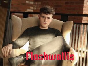 Flashwallis