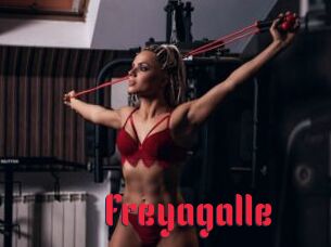 Freyagalle