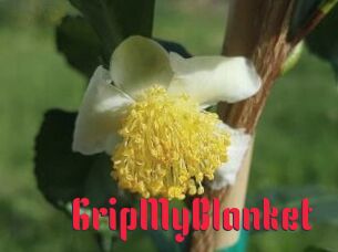 GripMyBlanket
