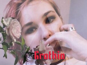 Grothia