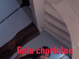 Gate_charlotee