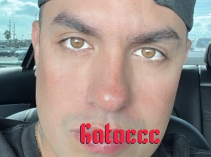 Gatoccc