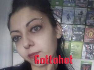 Gattahot