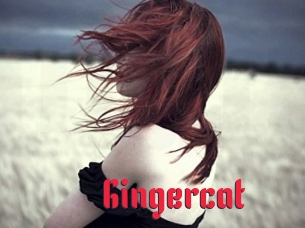 Gingercat