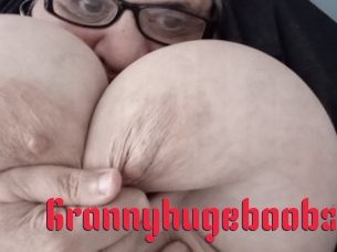 grannyhugeboobs Video Extrait