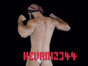 HEVAN12344