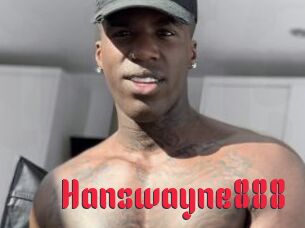 Hanswayne888