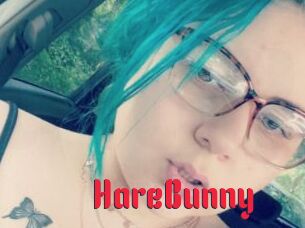 HareBunny