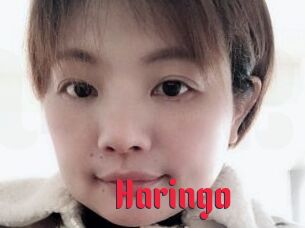 Haringo