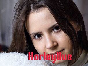 Harley_Due