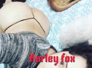 Harley_fox