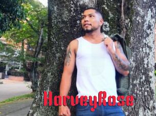 HarveyRose