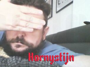 Hornystijn