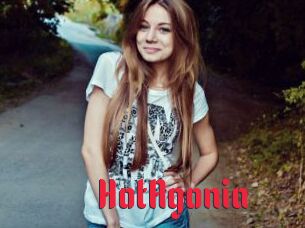 HotAgonia