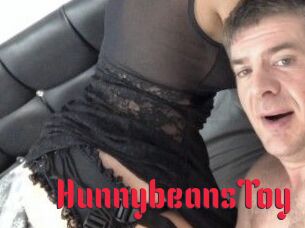 HunnybeansToy