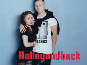 Halleyandbuck