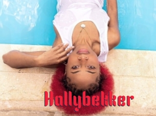 Hallybekker