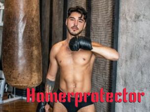 Hamerprotector