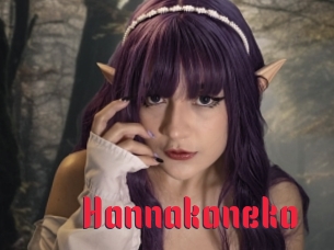 Hannakoneko
