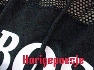 Harigepoesje