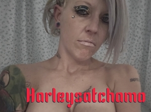 Harleysatchamo