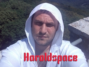 Haroldspace