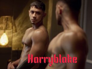 Harryblake