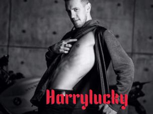 Harrylucky