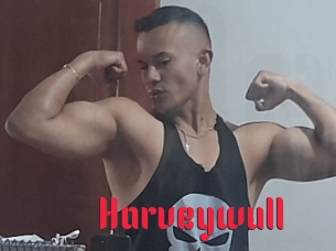 Harveywull