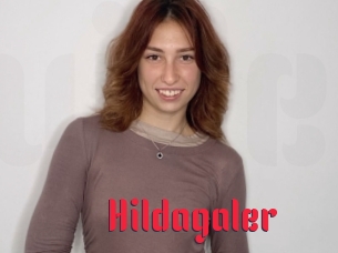 Hildagaler