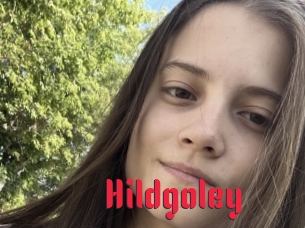 Hildgoley